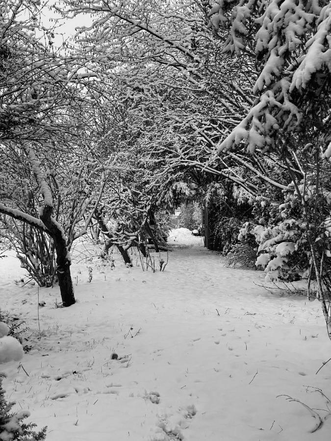 Spurensucher Quartier Usedom Town Dış mekan fotoğraf